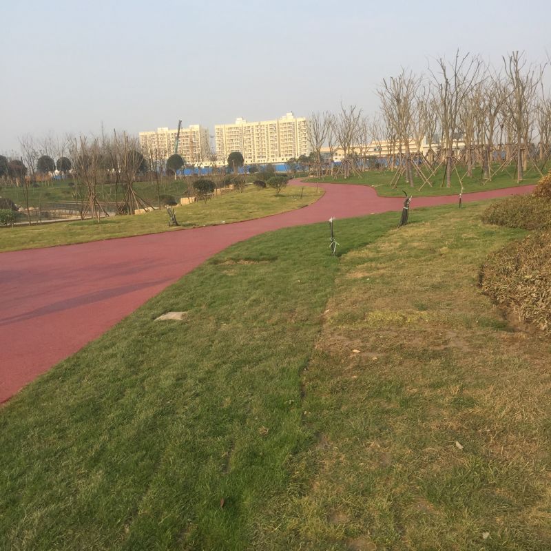 揚(yáng)州億彩景觀工程有限公司